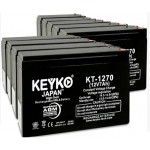 JAPAN High Tech -  KEYKO UPS Battery