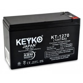 JAPAN High Tech -  KEYKO UPS Battery